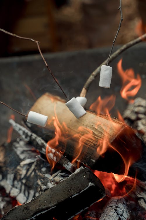 Free Cooking Marshmallows over Burning Woods Stock Photo